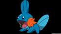 mudkip_pokemon-wallpaper-2560x1440[1].jpg