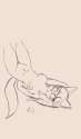 6292db18-c94b-4878-8a32-2389b9603a40.png