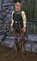 TESIII_Fargoth.png