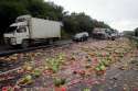 Watermelon-truck-overturns-3.jpg