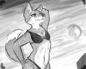 doggo at beach.png