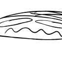 deet 122.jpg