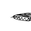 deet 151.jpg