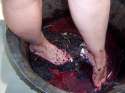 Austin - Grape Stomp 015.jpg