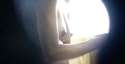 1503045421646.gif