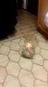IMG_2016-07-11-00000778.png