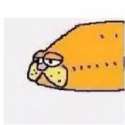 8d8cad8245cbb25b434928517dbe538d816ba8ea_2.jpg