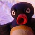 NOOT NOOT.jpg