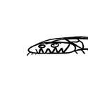 deet 163.jpg