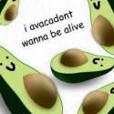 sm avacadont.png