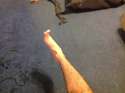 image.jpg