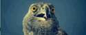 1454727497263.gif
