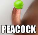 peacock.jpg