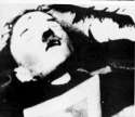 deadhitler.jpg