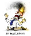 The Stupid It Burns.png