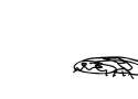 deet 172.gif