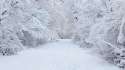 635879112155223228-319755513_635861833670816810507191518_6670-perfect-snow-1920x1080-nature-wallpaper.jpg