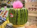 800px-Square_watermelon.jpg