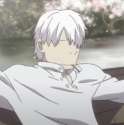 ginko-85.jpg