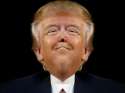 donalad.jpg