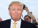 donald.jpg