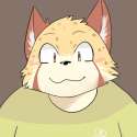 Gynnoota4.gif
