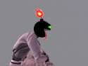 Snapshot_011.png