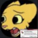 532.jpg