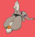 judy3carrot.png