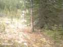 1404523948375.gif