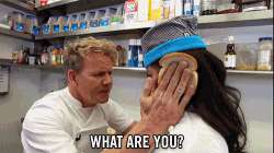 an idiot sandwich chef ramsay.gif 1446095907661.gif v1.gif