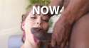 tumblr_mzs9kzKpuH1sk9iiho1_400.gif