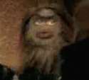 lelguy.gif