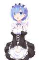 rem15.png