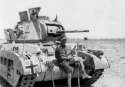 great tonk9.jpg