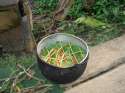 Ayahuasca_prep.jpg