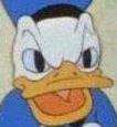 doland..jpg