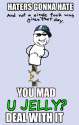 haters.png