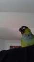 IMAG0382.jpg