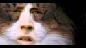 C__Data_Users_DefApps_AppData_INTERNETEXPLORER_Temp_Saved Images_1461738667453.jpg