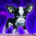 Iggy.png