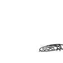 deet 182.jpg