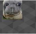 12f8db3ec05a2bb167f362112e788569.png