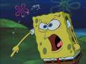 235218-spongebob-square-pants-angry-sponge.jpg