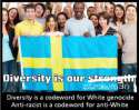 diversityIsCodeWord.jpg