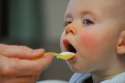 spoon feeding.gif