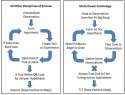big bang cosmology Schema science.jpg