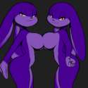 BigBunny023.png