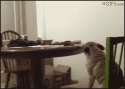 1465542734753.gif