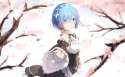 rem.jpg